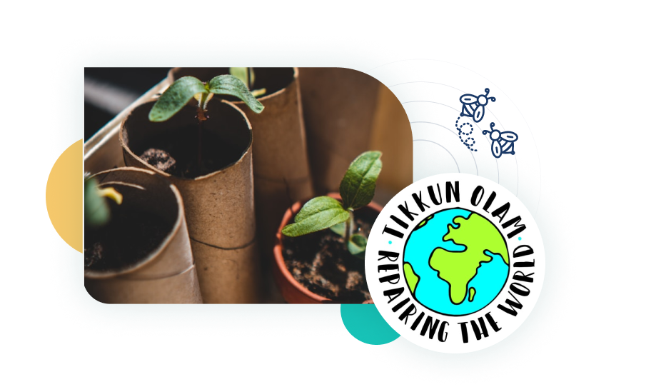 Tikkun Olam and plants