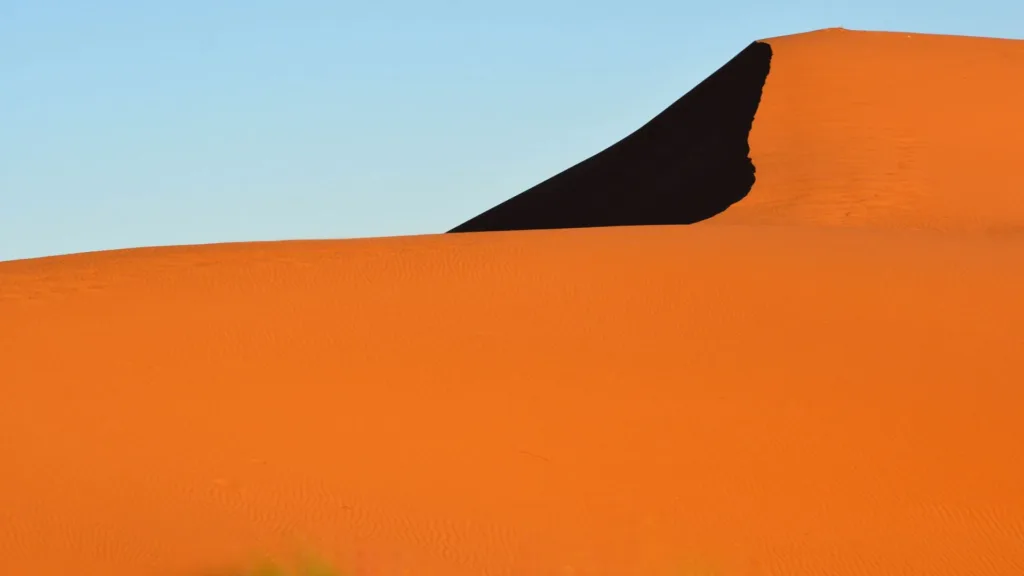 Steve Steinman - Abstract Dune